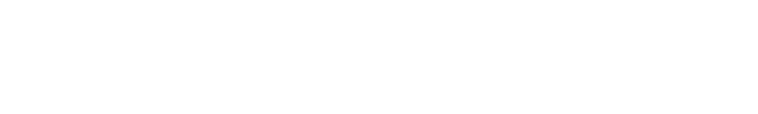 SennaSim